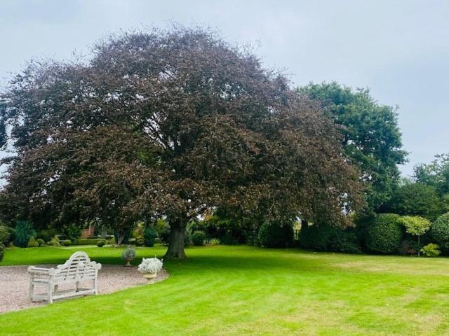 Golborne Manor Bed And Breakfast Chester Extérieur photo